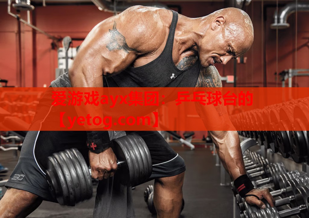 乒乓球台的 乒乓球台的