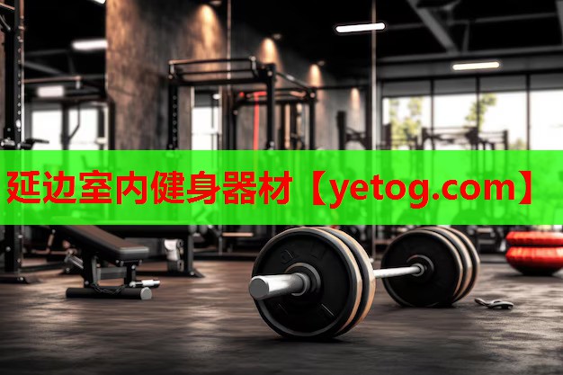 延边室内健身器材 延边室内健身器材
