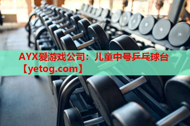 儿童中号乒乓球台 儿童中号乒乓球台