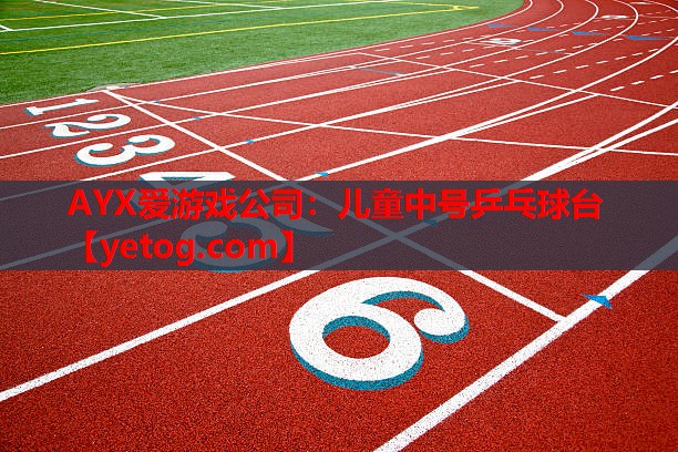 儿童中号乒乓球台 儿童中号乒乓球台