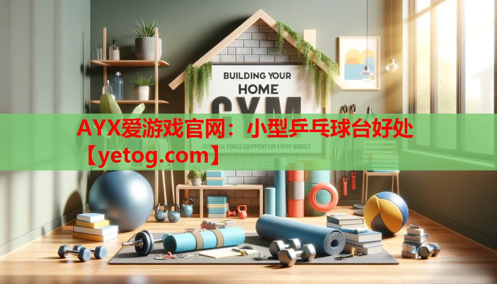 小型乒乓球台好处 小型乒乓球台好处