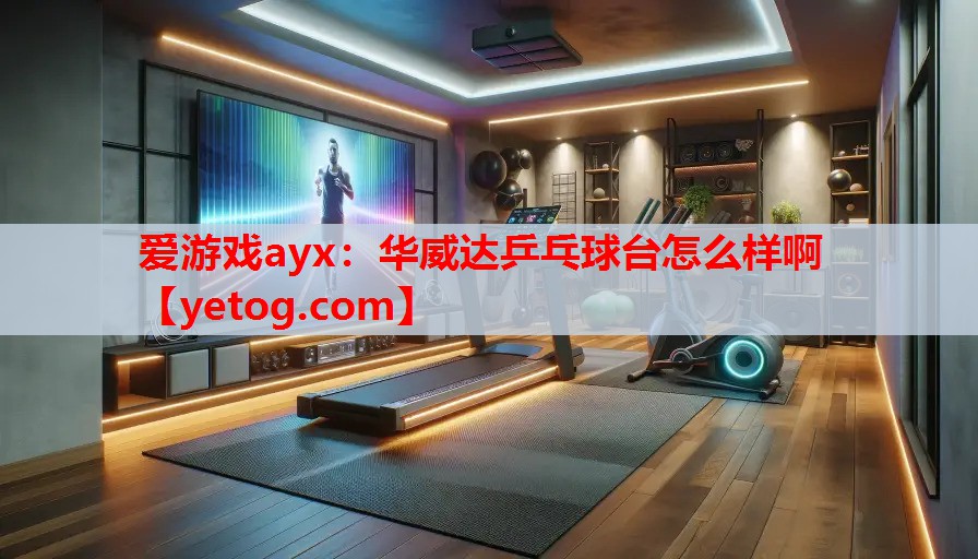 华威达乒乓球台怎么样啊 华威达乒乓球台怎么样啊