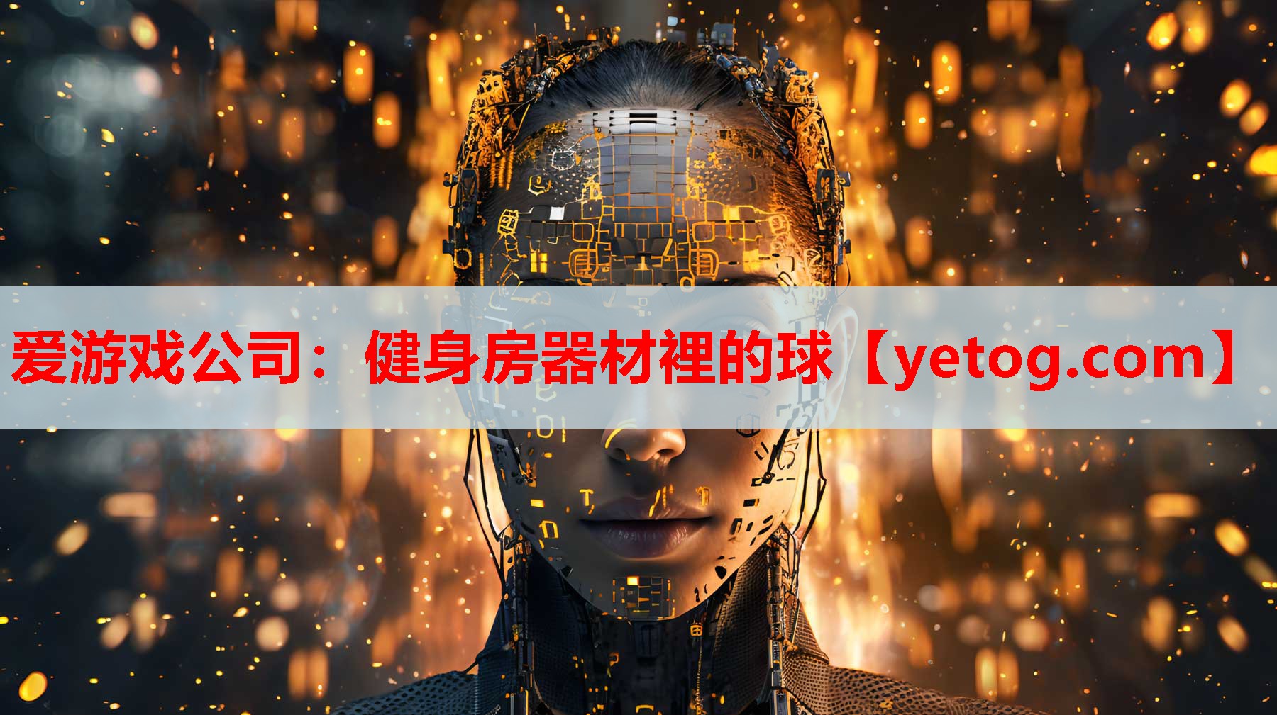 健身房器材裡的球 健身房器材裡的球