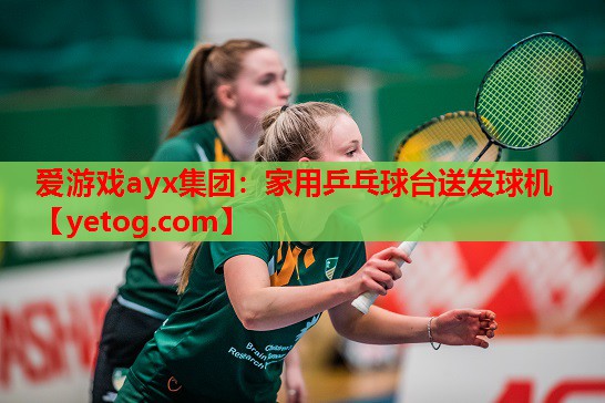 家用乒乓球台送发球机 家用乒乓球台送发球机