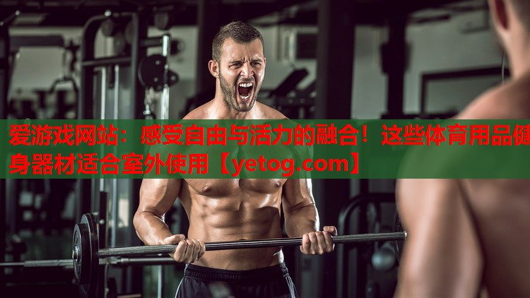 感受自由与活力的融合!这些体育用品健身器材适合室外使用 感受自由与活力的融合!这些体育用品健身器材适合室外使用