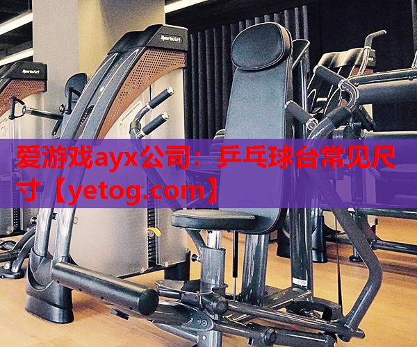 乒乓球台常见尺寸 乒乓球台常见尺寸