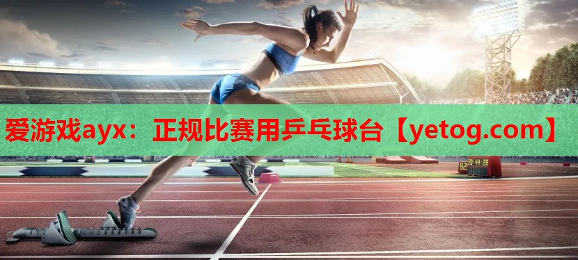 正规比赛用乒乓球台 正规比赛用乒乓球台