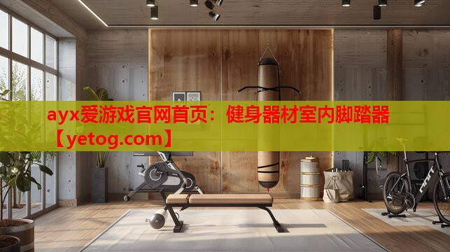 健身器材室内脚踏器 健身器材室内脚踏器