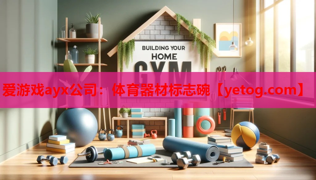 体育器材标志碗 体育器材标志碗