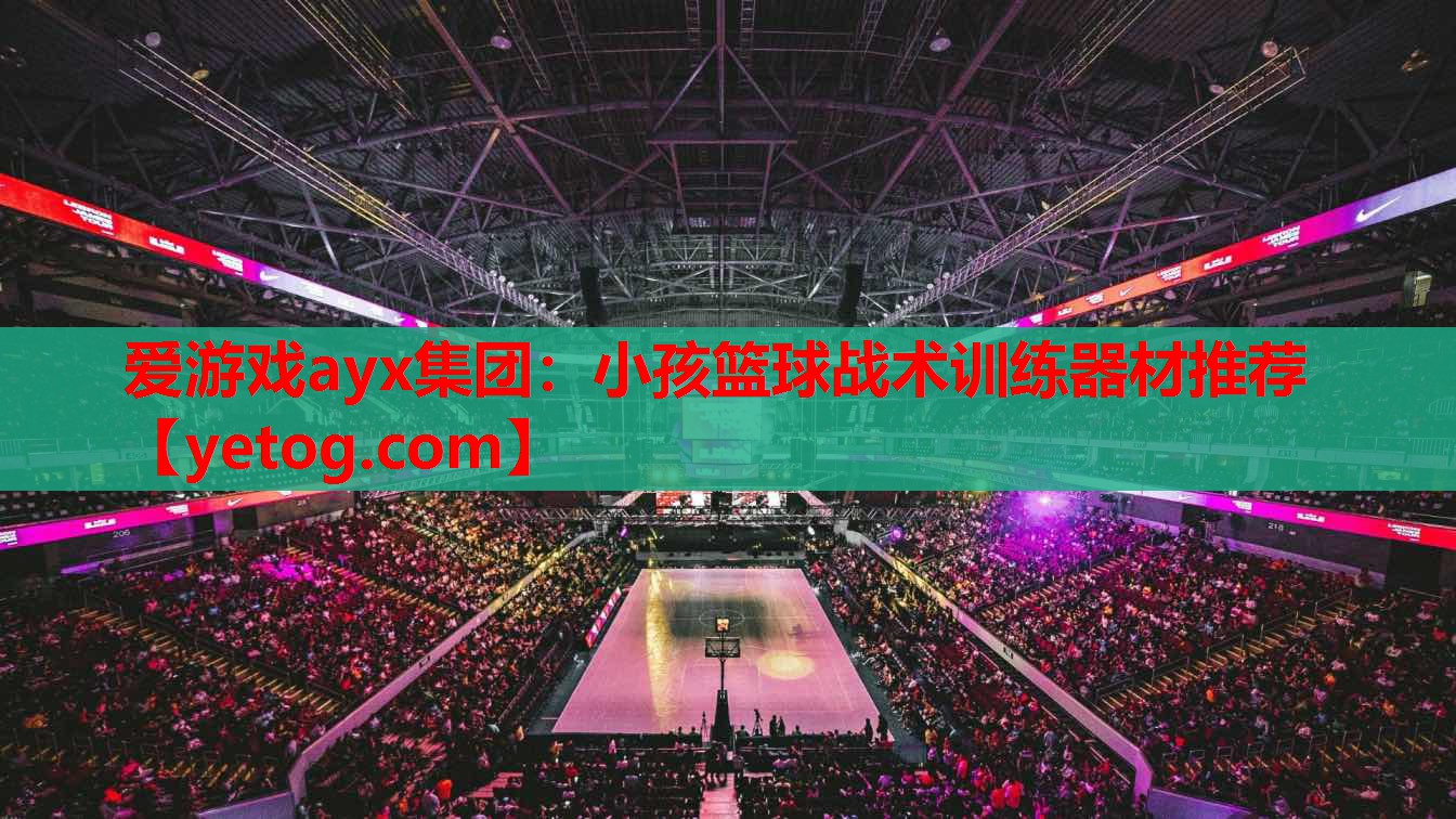 小孩篮球战术训练器材推荐 小孩篮球战术训练器材推荐