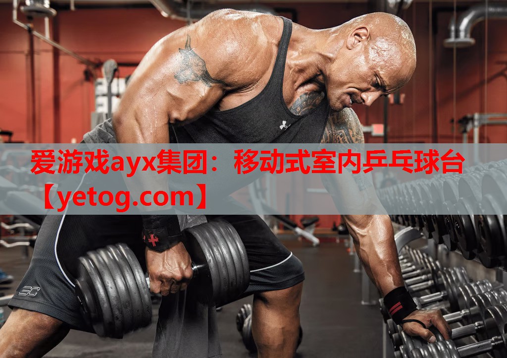 移动式室内乒乓球台 移动式室内乒乓球台