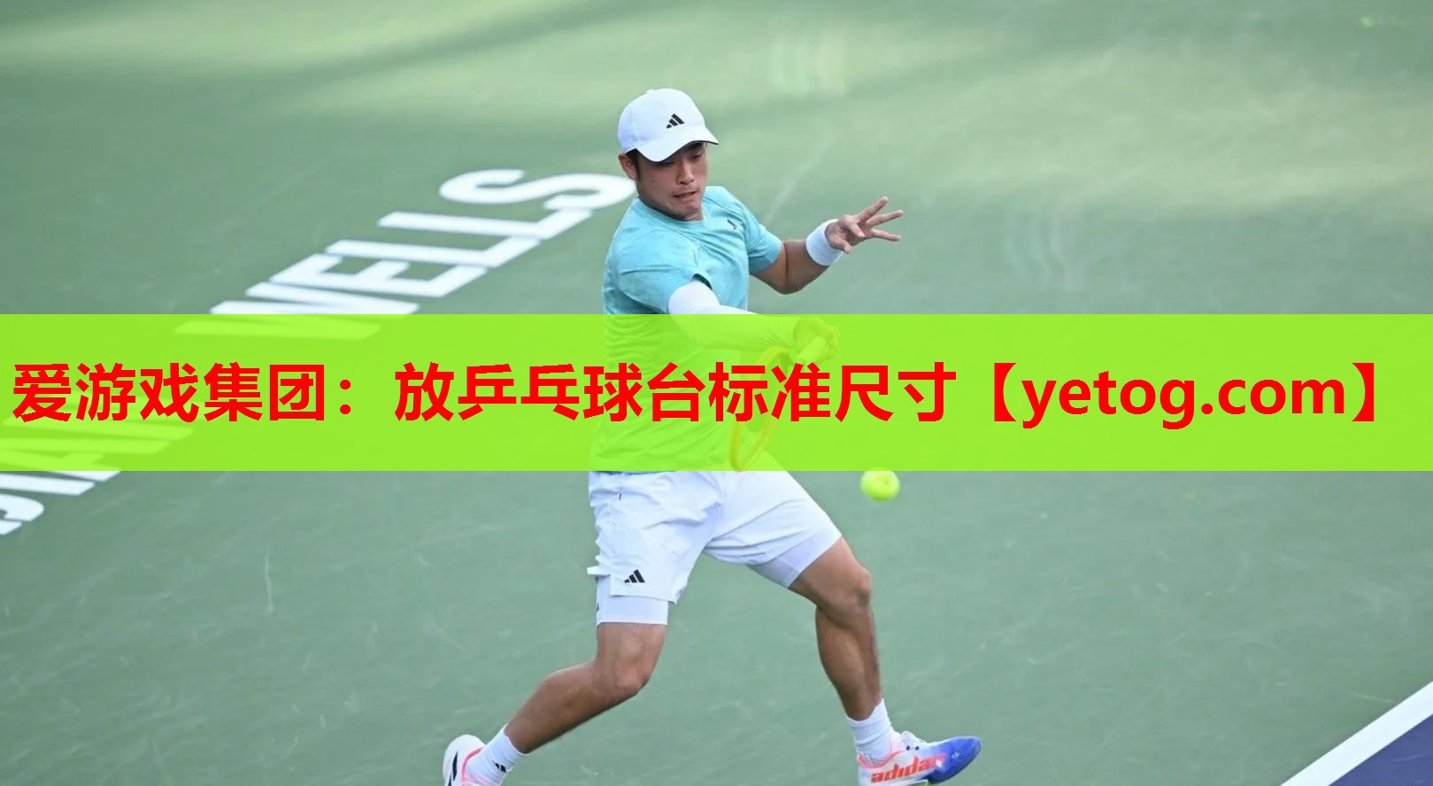 放乒乓球台标准尺寸 放乒乓球台标准尺寸