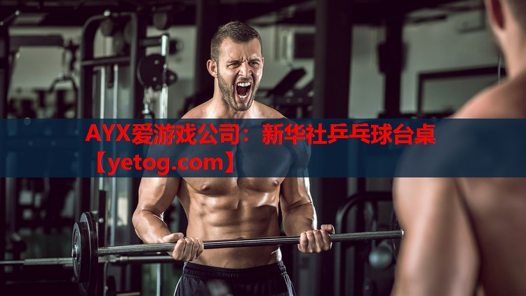 新华社乒乓球台桌 新华社乒乓球台桌