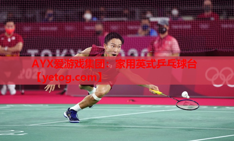 家用英式乒乓球台 家用英式乒乓球台