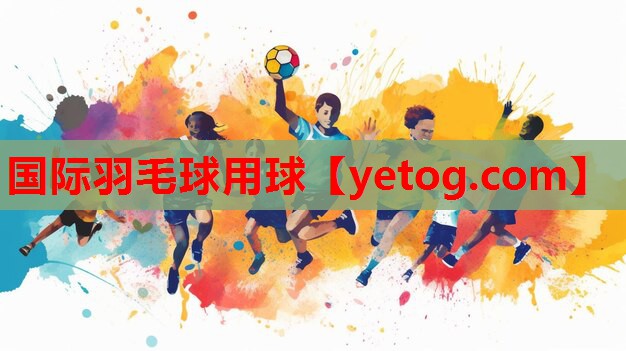 国际羽毛球用球 国际羽毛球用球