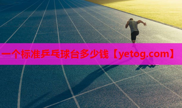 一个标准乒乓球台多少钱 一个标准乒乓球台多少钱