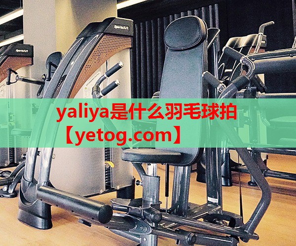 yaliya是什么羽毛球拍 yaliya是什么羽毛球拍