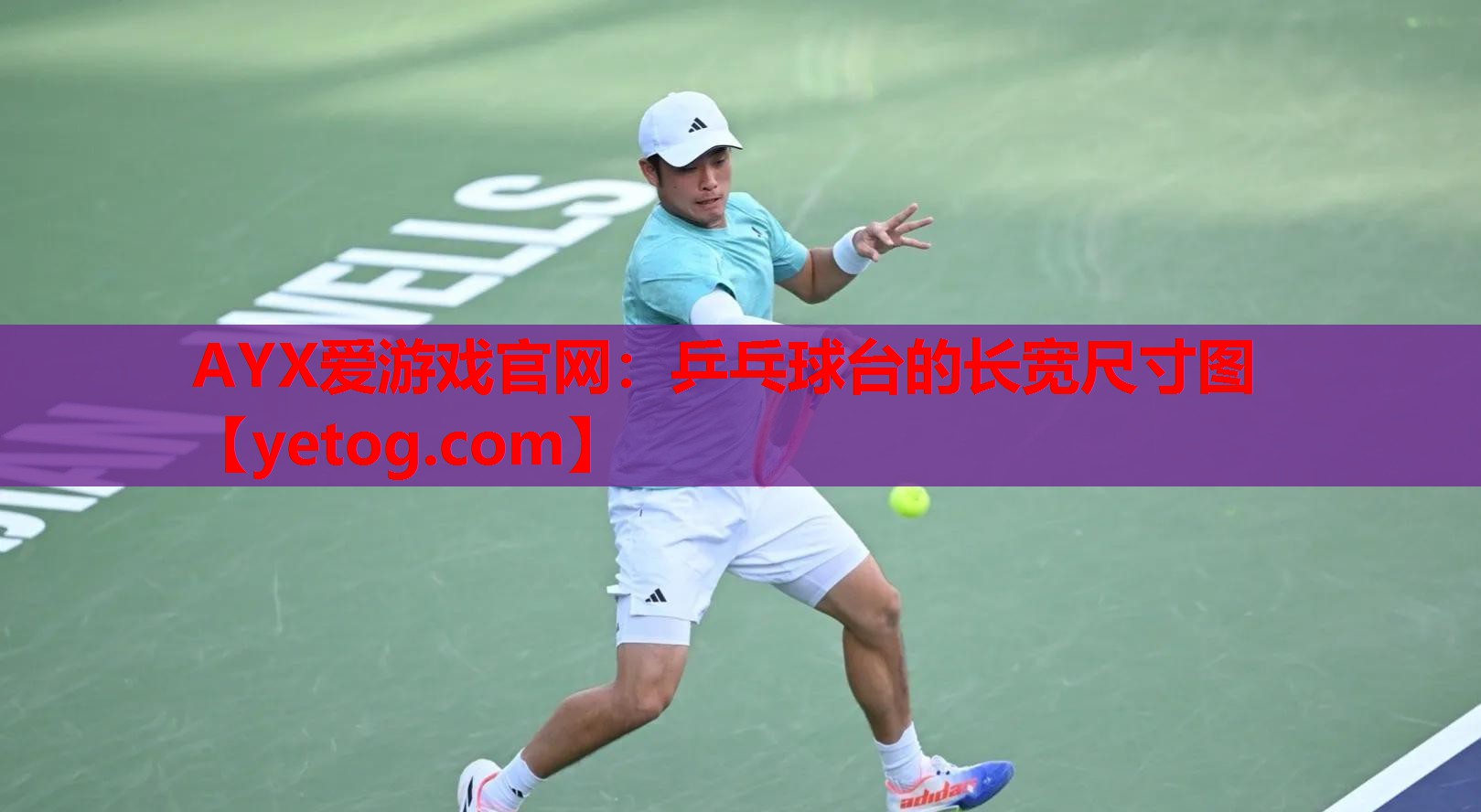 乒乓球台的长宽尺寸图 乒乓球台的长宽尺寸图