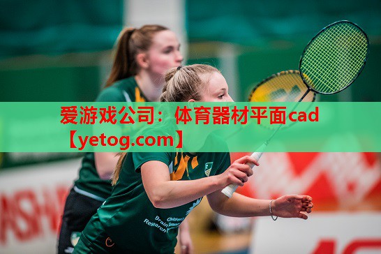 体育器材平面cad 体育器材平面cad