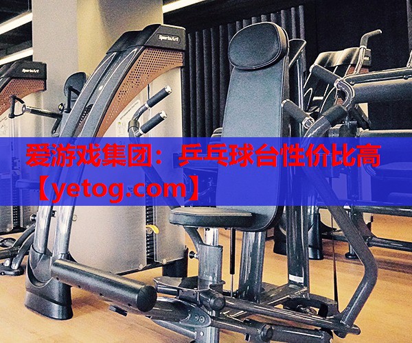 乒乓球台性价比高 乒乓球台性价比高