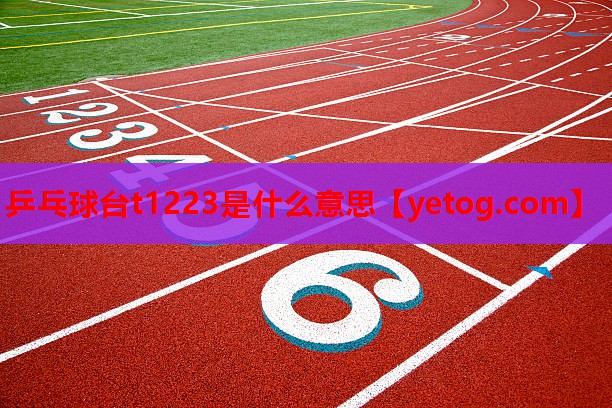 乒乓球台t1223是什么意思 乒乓球台t1223是什么意思