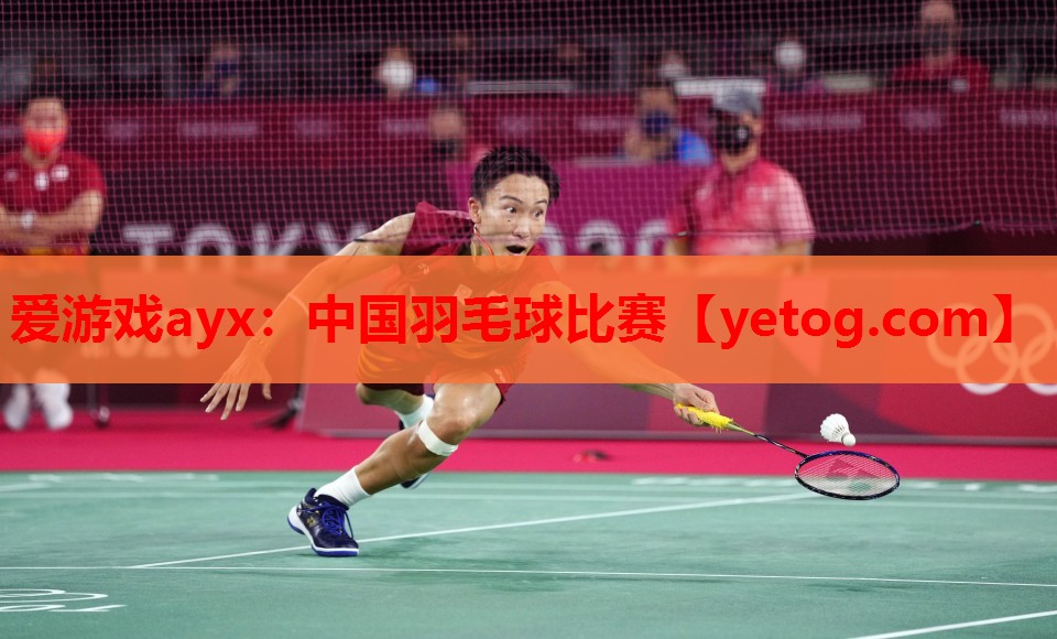 中国羽毛球比赛 中国羽毛球比赛