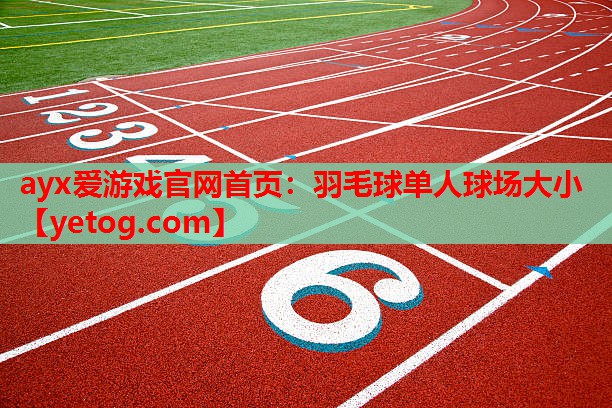 羽毛球单人球场大小 羽毛球单人球场大小