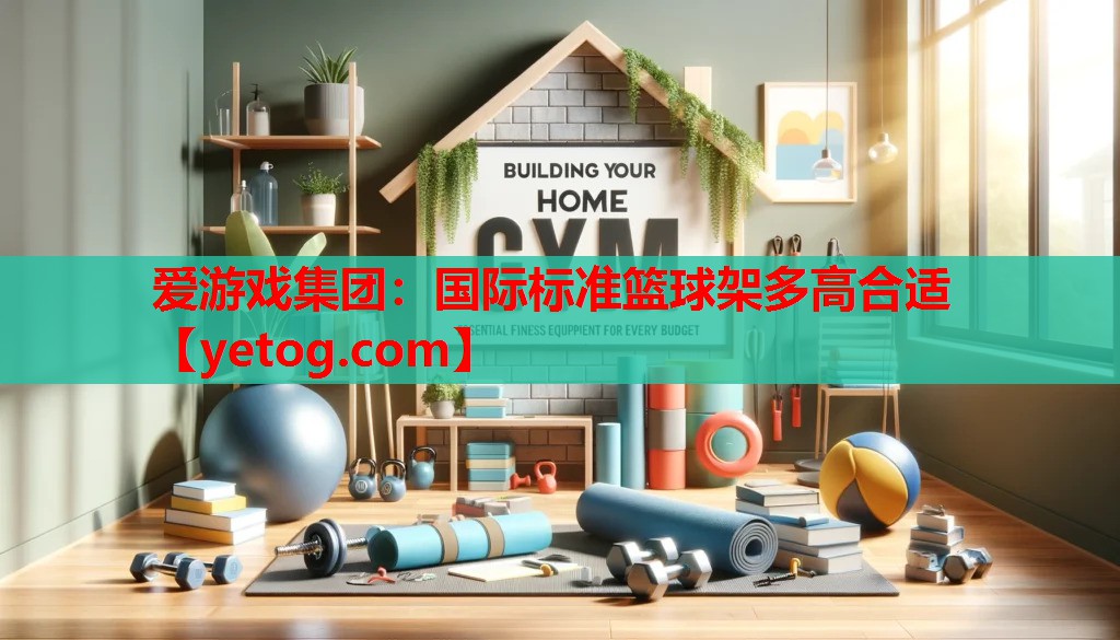 国际标准篮球架多高合适 国际标准篮球架多高合适