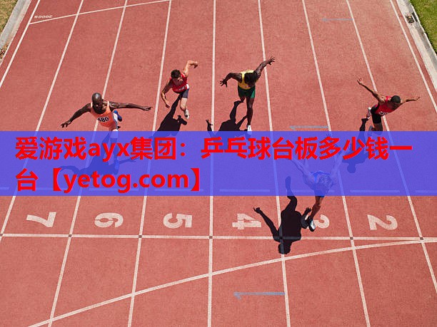乒乓球台板多少钱一台 乒乓球台板多少钱一台