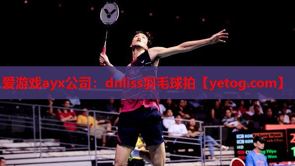 dnliss羽毛球拍 dnliss羽毛球拍