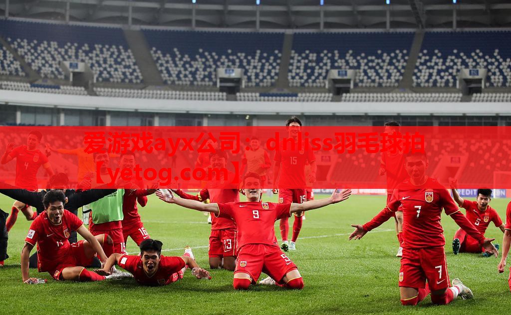dnliss羽毛球拍 dnliss羽毛球拍