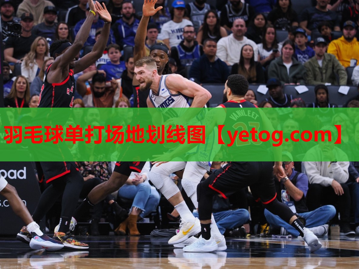 羽毛球单打场地划线图 羽毛球单打场地划线图