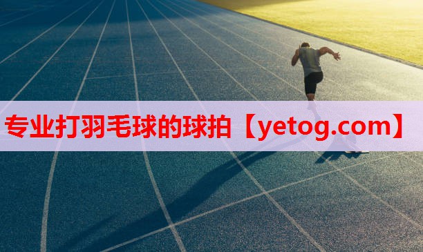 专业打羽毛球的球拍 专业打羽毛球的球拍
