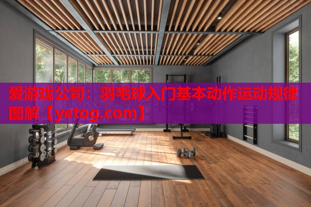 羽毛球入门基本动作运动规律图解 羽毛球入门基本动作运动规律图解