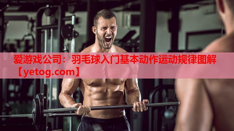 羽毛球入门基本动作运动规律图解 羽毛球入门基本动作运动规律图解