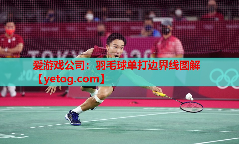 羽毛球单打边界线图解 羽毛球单打边界线图解