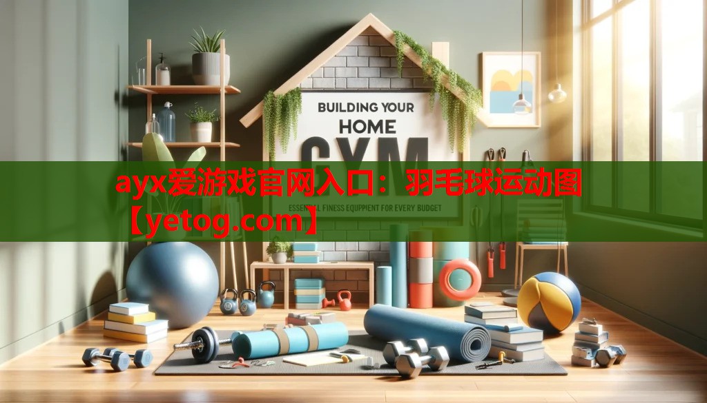 羽毛球运动图 羽毛球运动图