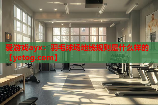 羽毛球场地线规则是什么样的 羽毛球场地线规则是什么样的