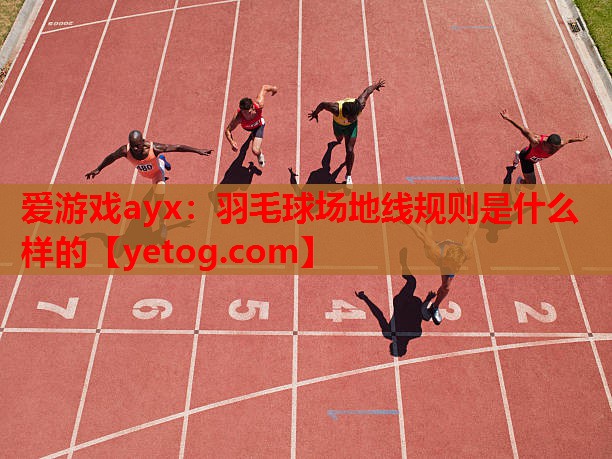 羽毛球场地线规则是什么样的 羽毛球场地线规则是什么样的
