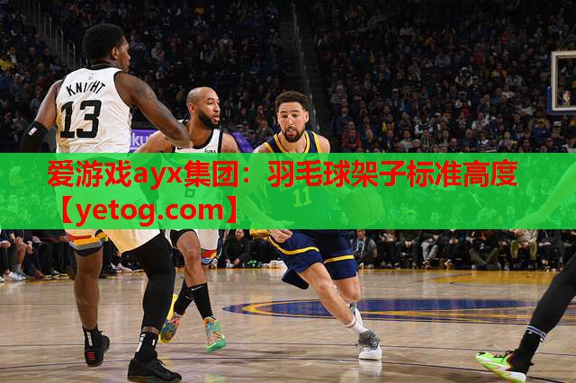 羽毛球架子标准高度 羽毛球架子标准高度