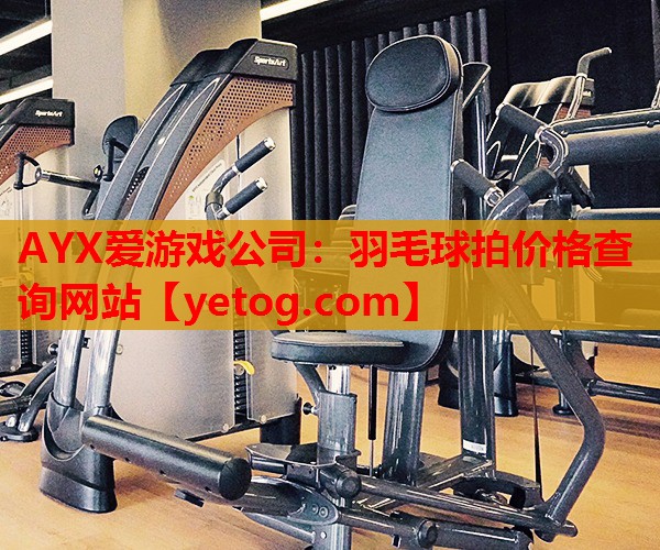 羽毛球拍价格查询网站 羽毛球拍价格查询网站