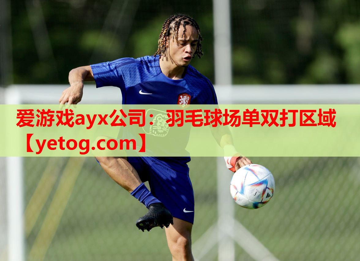羽毛球场单双打区域 羽毛球场单双打区域