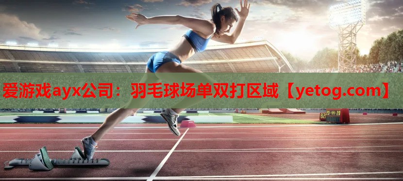 羽毛球场单双打区域 羽毛球场单双打区域