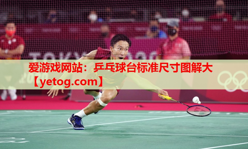 乒乓球台标准尺寸图解大 乒乓球台标准尺寸图解大