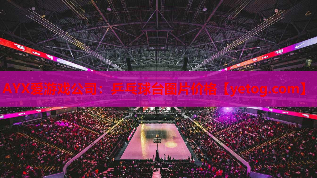 乒乓球台图片价格 乒乓球台图片价格