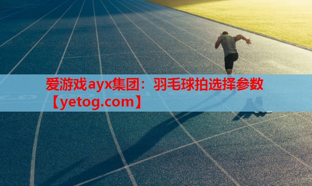 羽毛球拍选择参数 羽毛球拍选择参数