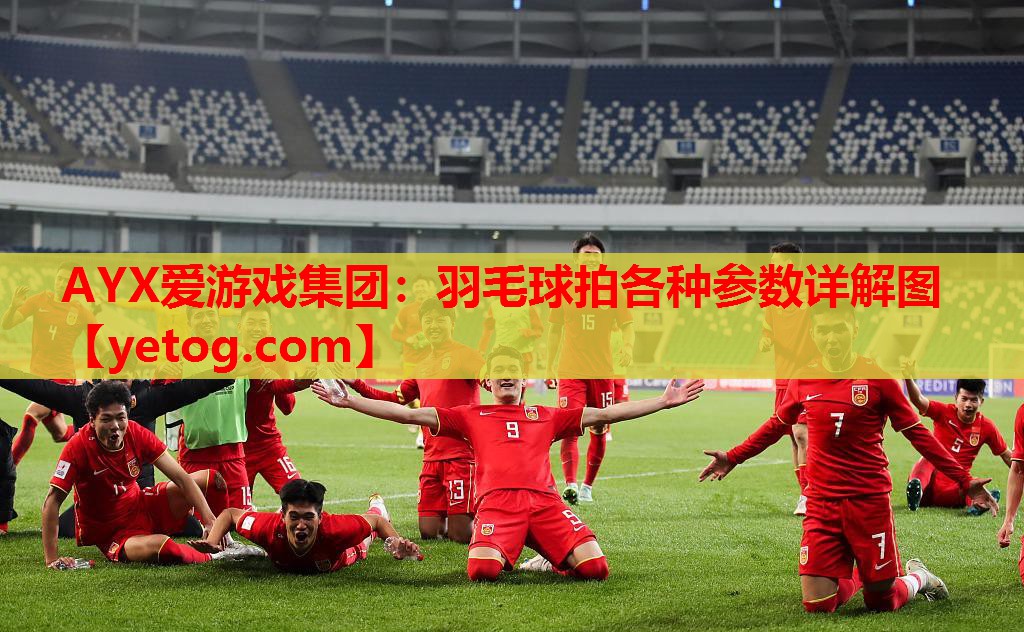 羽毛球拍各种参数详解图 羽毛球拍各种参数详解图