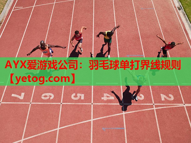 羽毛球单打界线规则 羽毛球单打界线规则