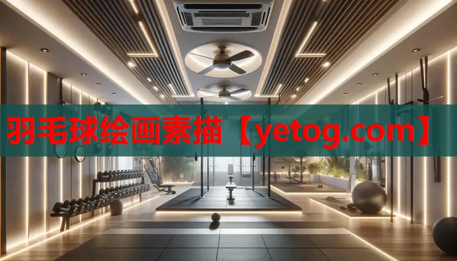 羽毛球绘画素描 羽毛球绘画素描