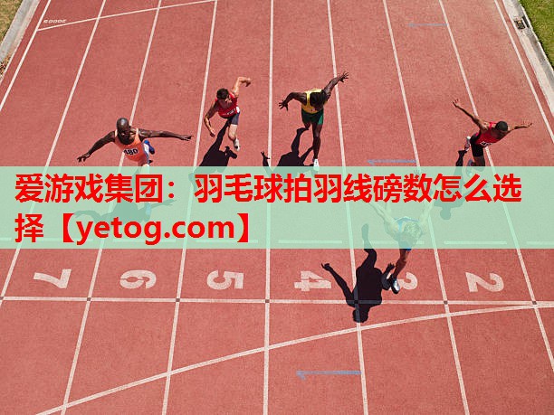 羽毛球拍羽线磅数怎么选择 羽毛球拍羽线磅数怎么选择